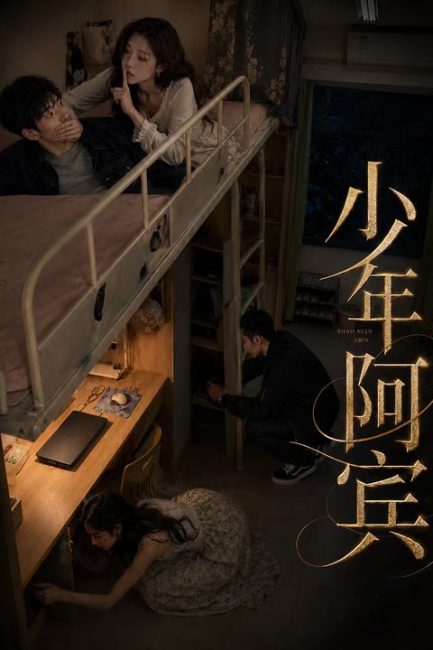 少年阿宾海报