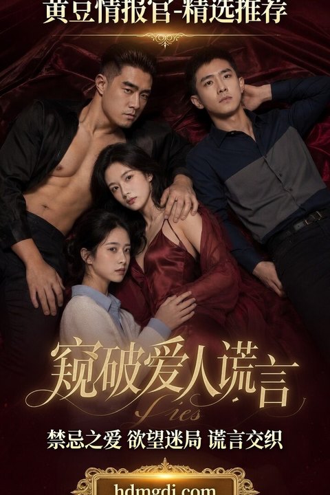窥破爱人谎言海报