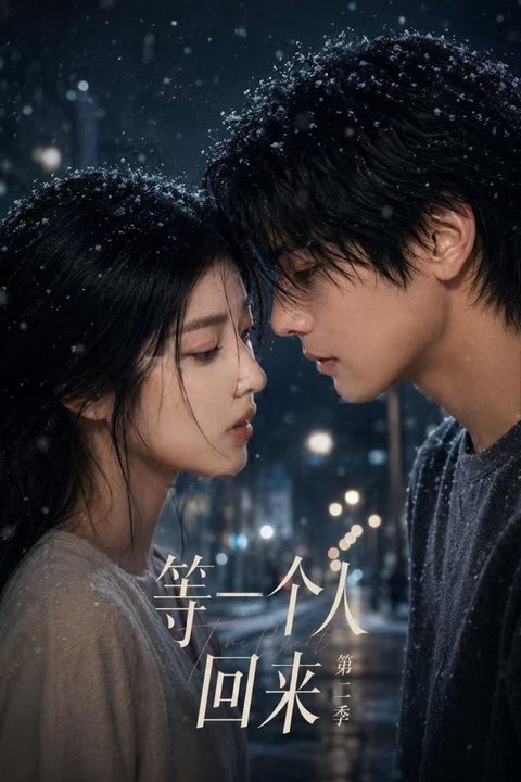 等一个人回来 第二季海报