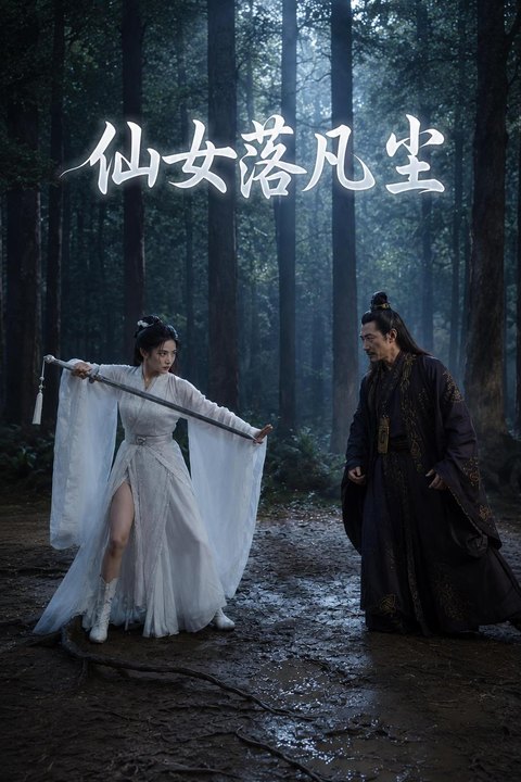 仙女落凡尘海报