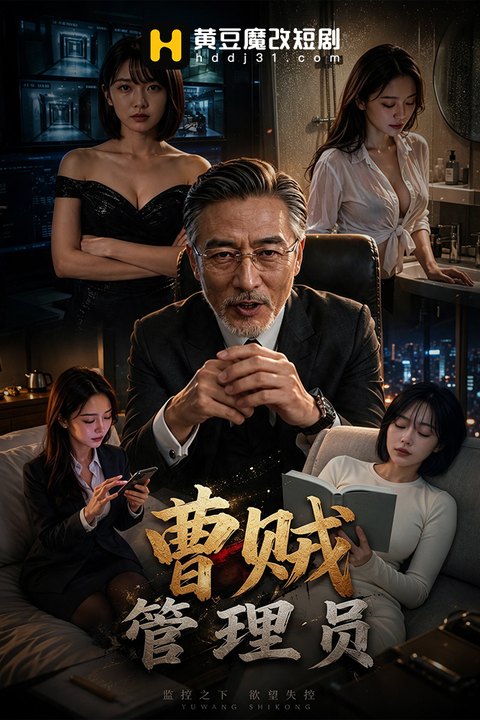 曹贼管理员海报