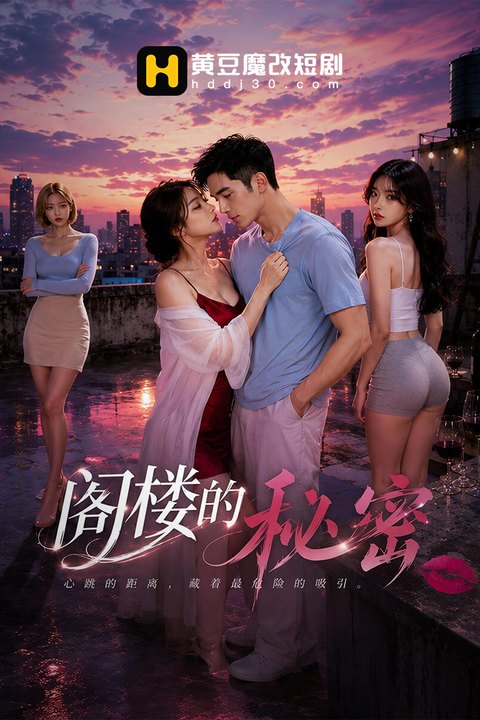 阁楼的秘密海报