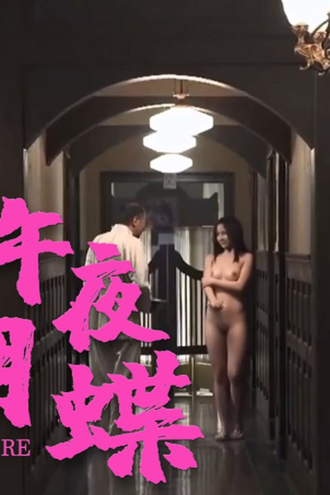 魔改电视剧《午夜玫瑰》 侯总玩弄绝美人妻租客付颖海报