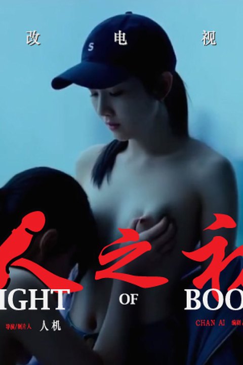 魔改电视剧《人之初》主演：马思纯 唐嫣 徐百慧 程潇 张可盈等！海报
