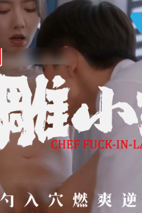 魔改网剧 上《大厨小婿》主演：陈姝君、朱容君、姬天语、景漫等！海报