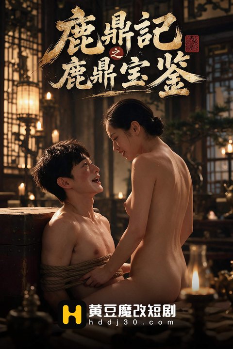 鹿鼎记之鹿鼎宝鉴海报