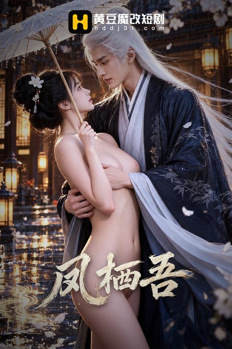 凤栖吾海报