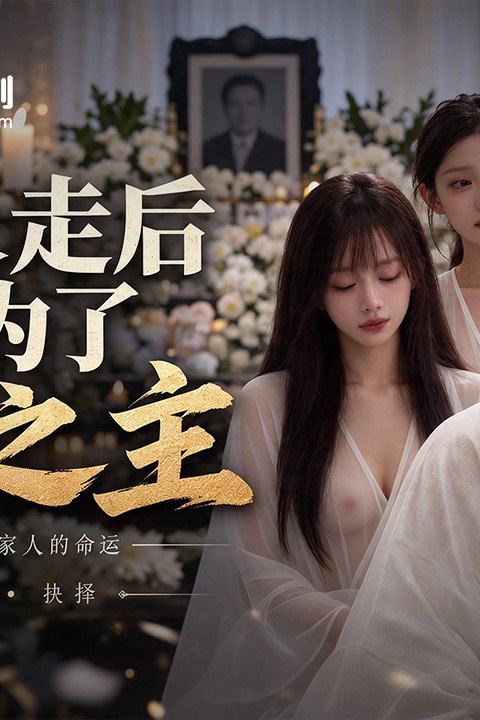 老丈人走后，我成为了一家之主海报