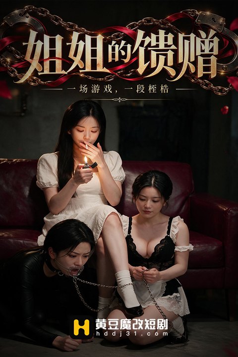 姐姐的馈赠海报