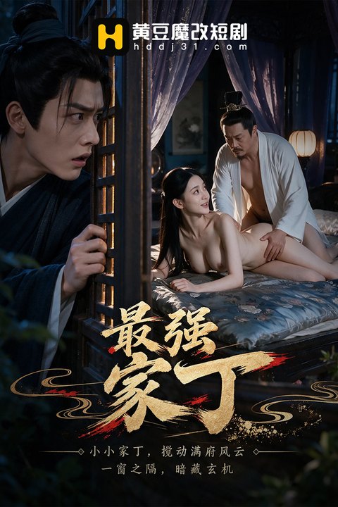最强家丁海报