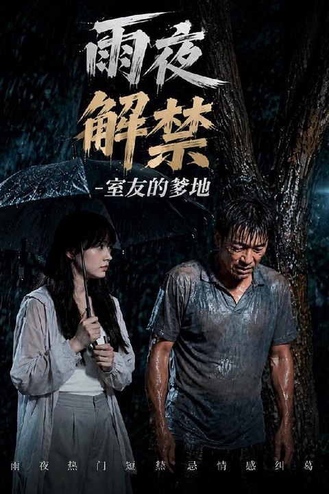 雨夜解禁室友的老爸 全1集海报